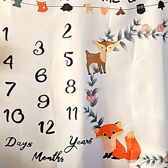 12 Monthly Baby Milestone Photography Blanket - One Size (NWOT) - Picture 5 of 5